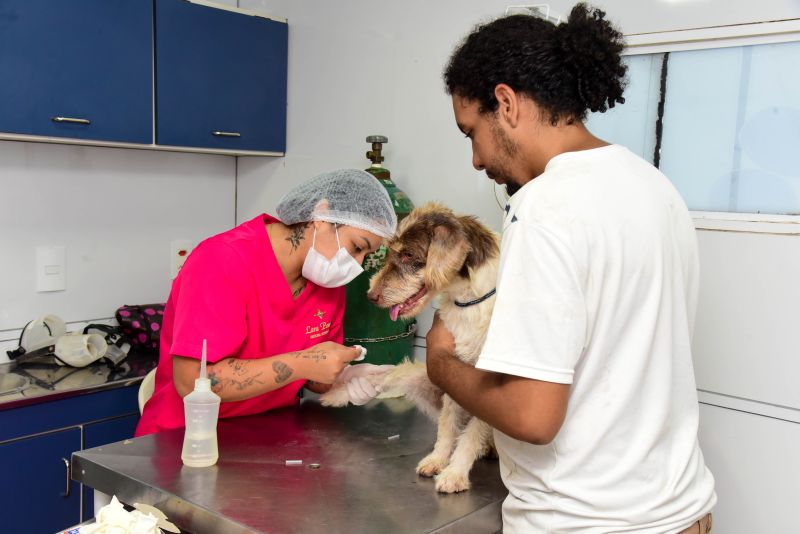 Ação do Castramovél no Programa Pet Amigo no bairro Centro