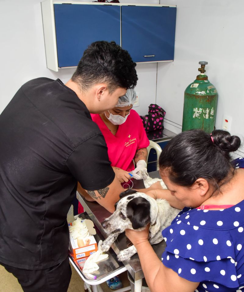 Ação do Castramovél no Programa Pet Amigo no bairro Centro