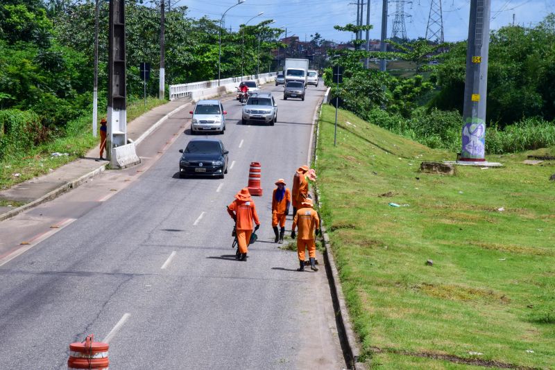 Imagens da limpeza do canteiro da avenida Independência