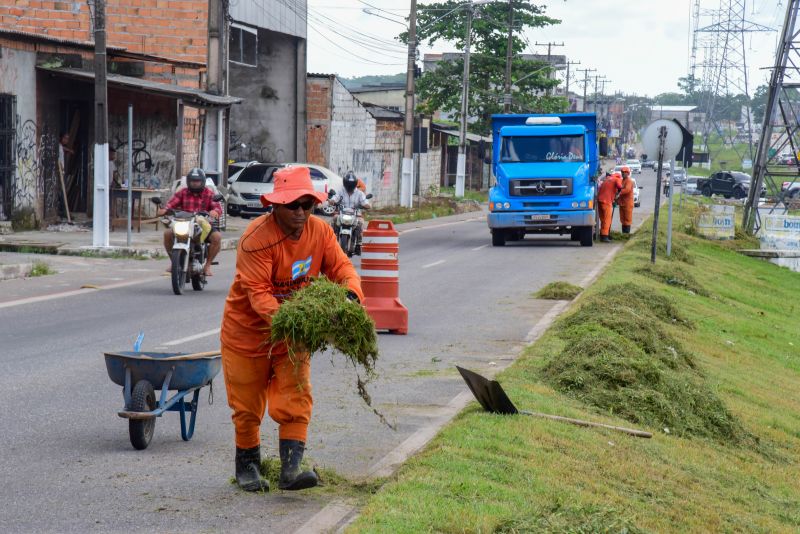 Imagens da limpeza do canteiro da avenida Independência