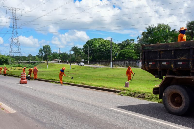 Imagens da limpeza do canteiro da avenida Independência