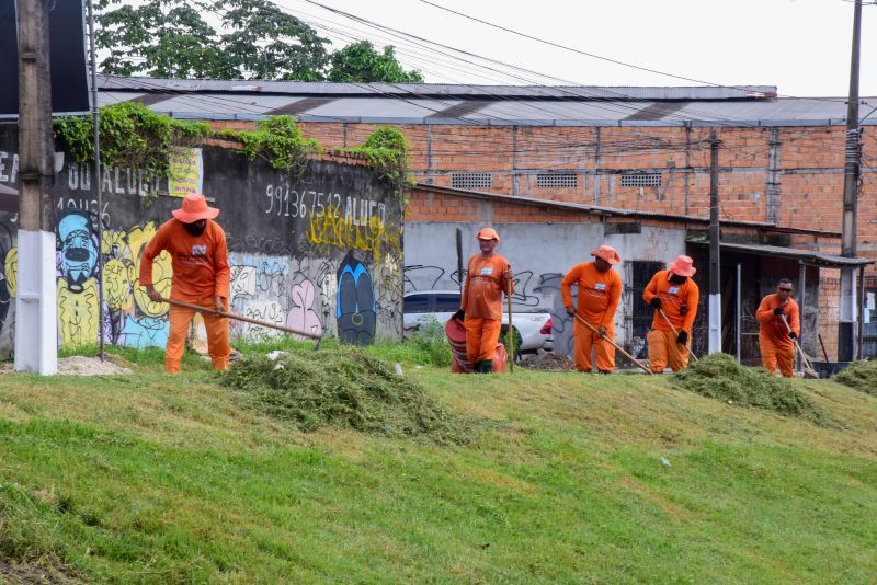 Imagens da limpeza do canteiro da avenida Independência