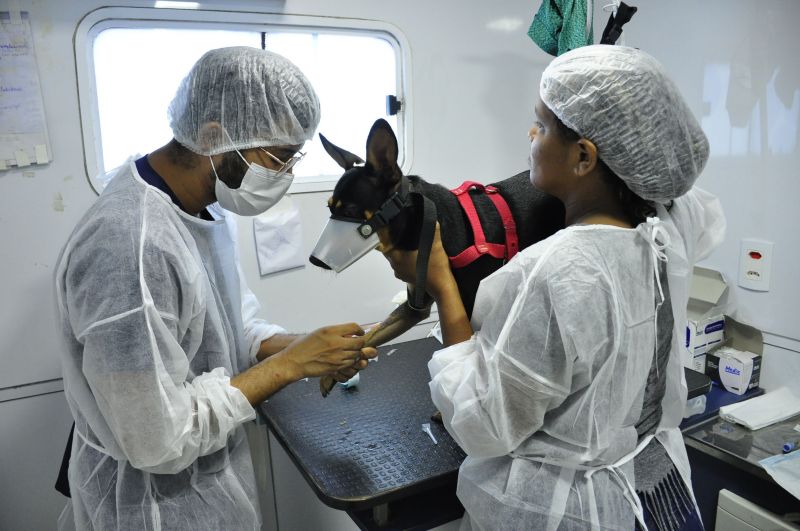 Programa Pet amigo de Ananindeua com Castramóvel no bairro do Distrito Industrial