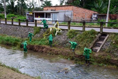 Galeria: Imagens da limpeza do canal Maguariaçu na estrada do Maguari
