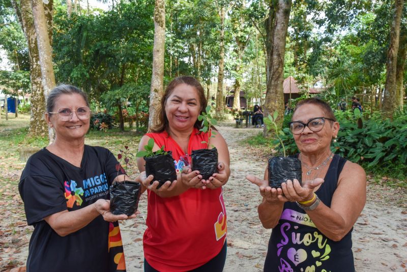 Educação Ambiental e Sustentabilidade no Parque Seringal