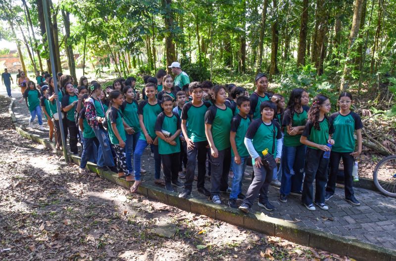 Festival da Sustentabilidade no Bosque Marajoara no Conjunto Júlia Seffer