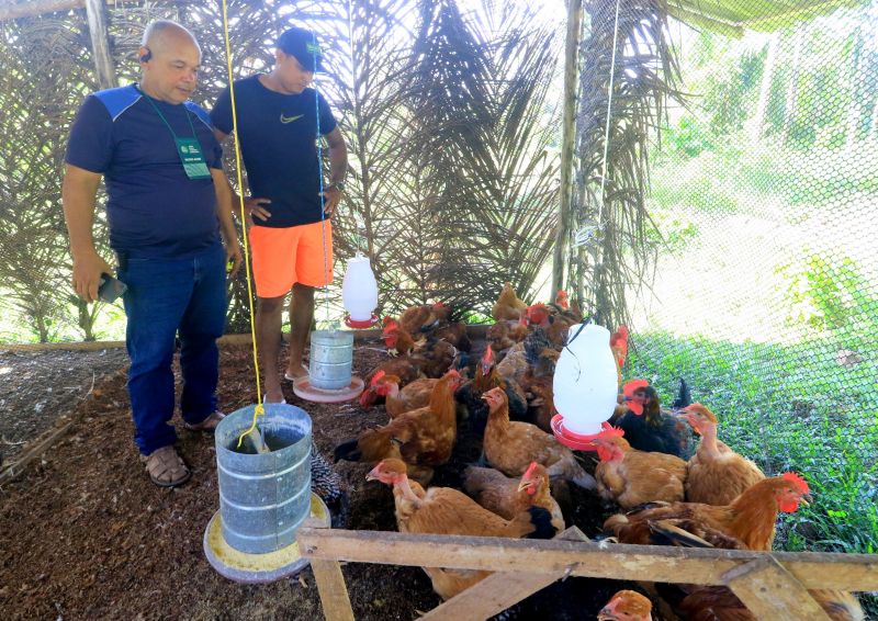 Curso de Avicultura na comunidade Quilombo do Abacatal