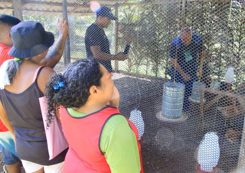 Curso de Avicultura na comunidade Quilombo do Abacatal