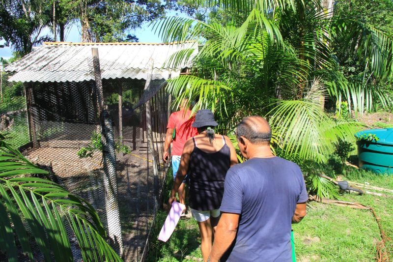 Curso de Avicultura na comunidade Quilombo do Abacatal