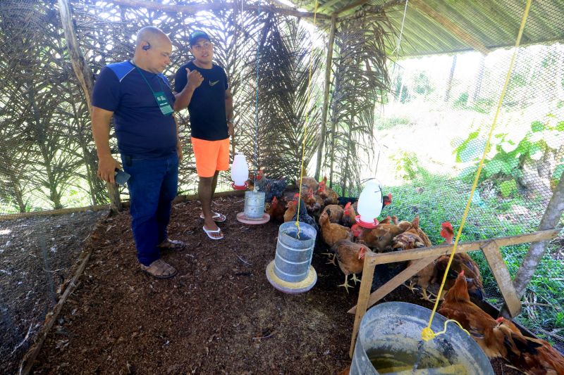Curso de Avicultura na comunidade Quilombo do Abacatal