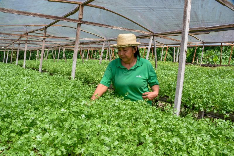 Pré- Conferência Municipal no parque das águas no Curuçambá