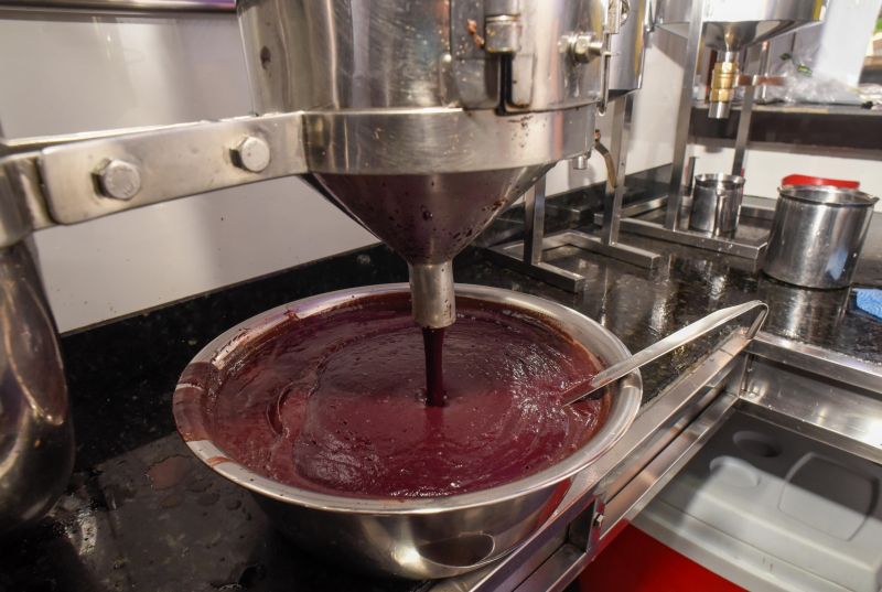 Entrega do Selo Açaí Bom Que Só na feira da Cidade Nova 4