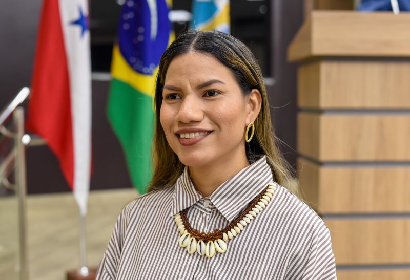 Audiência Ananindeua de Todos Nós no plenário da Camara Municipal de Vereadores