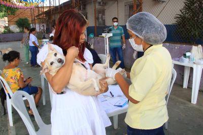 Programa “Vet Ananin” atende mais de 100 animais no bairro do 40 Horas 