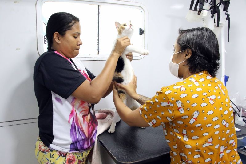 Ação Castramóvel na quadra João Nunes no 40 Horas