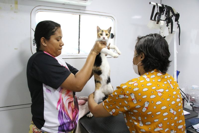 Ação Castramóvel na quadra João Nunes no 40 Horas