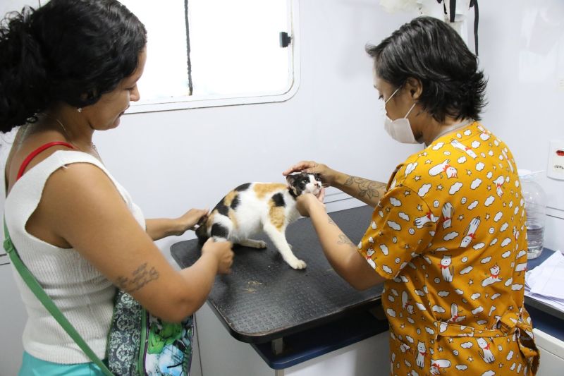 Ação Castramóvel na quadra João Nunes no 40 Horas