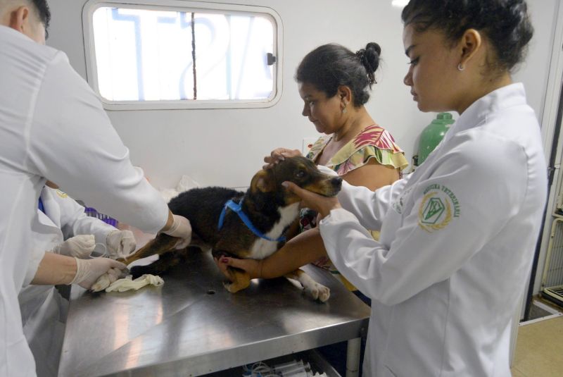 Castramóvel na passagem Iracema, no centro comunitário Cresce Una