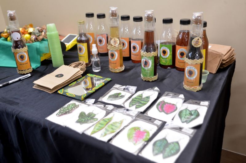 Entrega de CAF+ na câmara municipal de Ananindeua