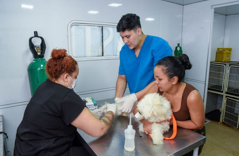 Ação Castramóvel no Guajará l