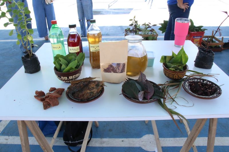 Entrega de mudas e oficina de percepção ambiental no CRAS Estrela