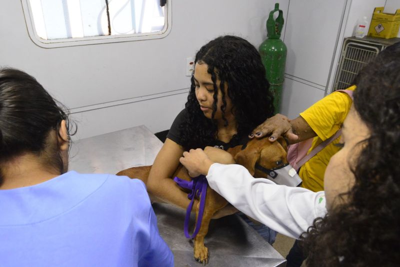 Castramóvel no loteamento Parque Anne