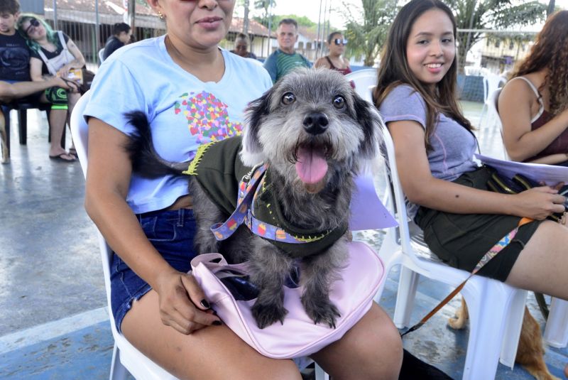 Castramóvel no loteamento Parque Anne