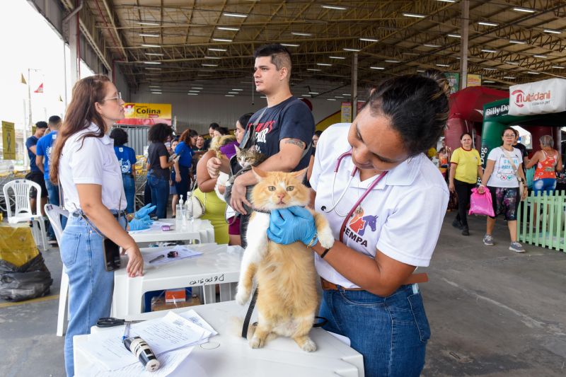 Festival Pet no estacionamento do supermercado Colina