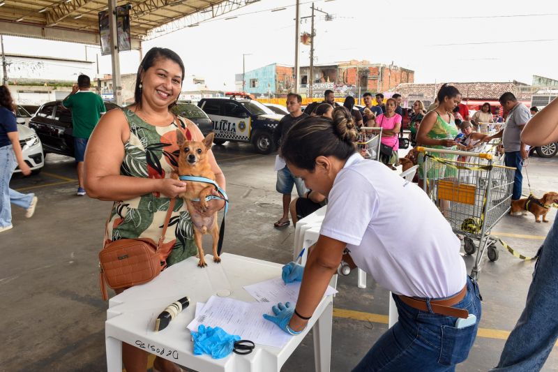 Festival Pet no estacionamento do supermercado Colina