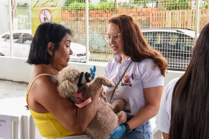 Festival Pet no estacionamento do supermercado Colina
