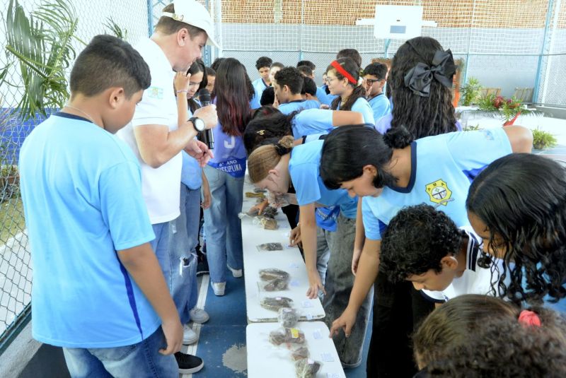 Diálogos Sustentáveis com várias atividades voltadas à Educação Ambiental na escola municipal Álvaro Adolfo
