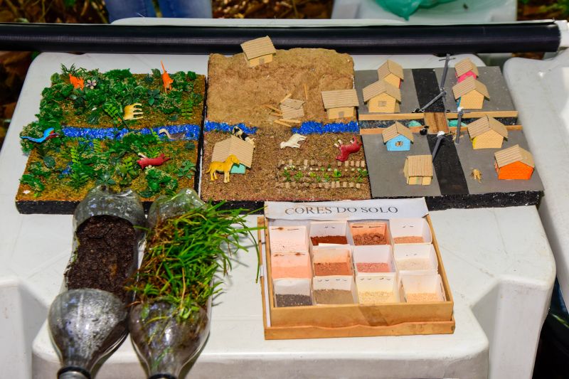 Semana do Meio Ambiente com ações de Educação Ambiental, no Bosque Marajoara no conjunto Julia Sefer
