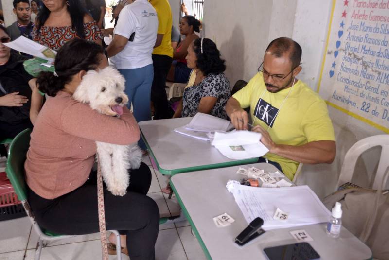 Cadastro do animais.