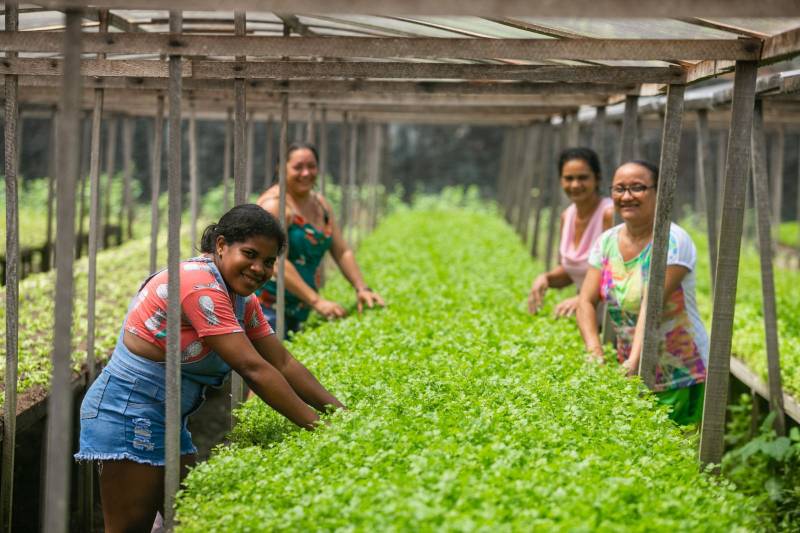 Soluções baseadas na natureza vem como alternativa de uma Ananindeua sustentável.