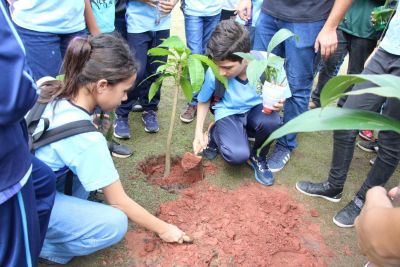 SEMA intensifica ações e reforça proteção ambiental e urbana em Ananindeua